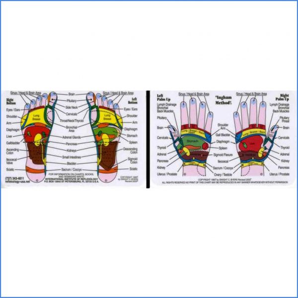Hand and Foot Wallet Reflexology Chart