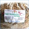 Super Buckwheaties organic RAW